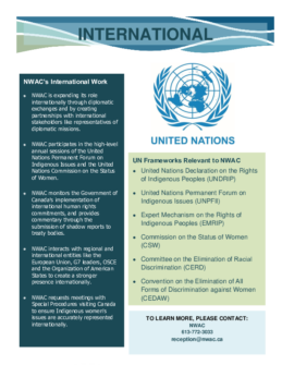 Fact Sheet - International Policy