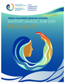 AGA Annual Report 2019 (French)