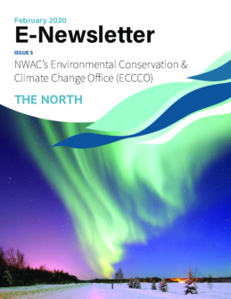 E-Newsletter The Arctic ISSUE #5
